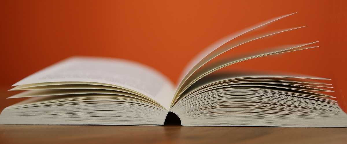 Niveaux d’anglais de A1 à C2